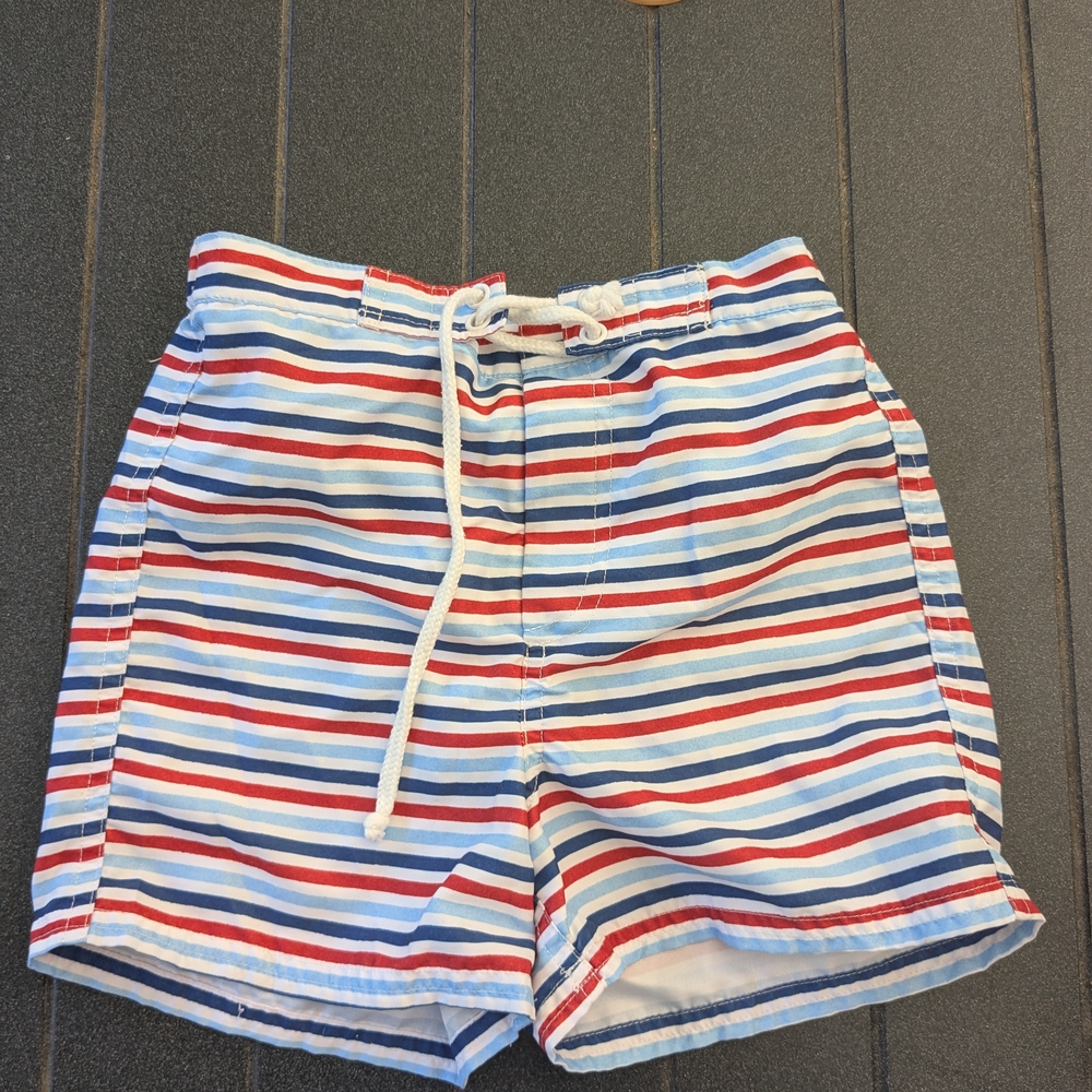 Little English Multicolor Striped Swim Trunks